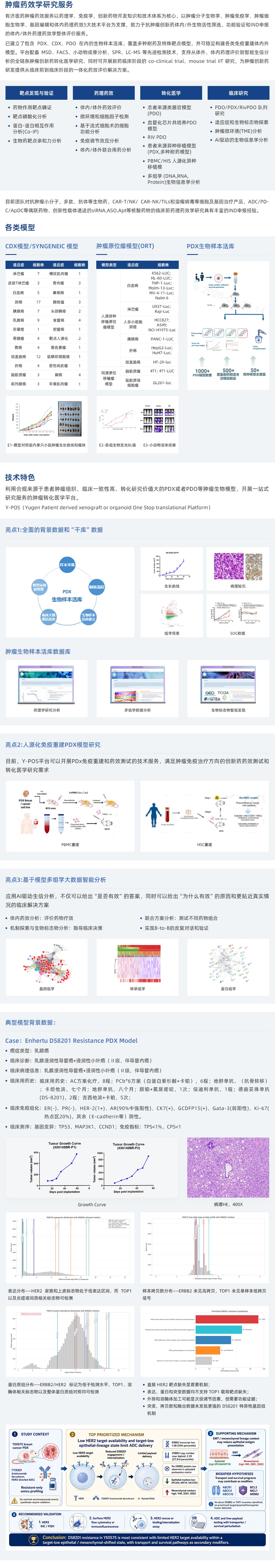 技術服務（藥效學研究服務）腫瘤藥效學研究服務(1).jpg
